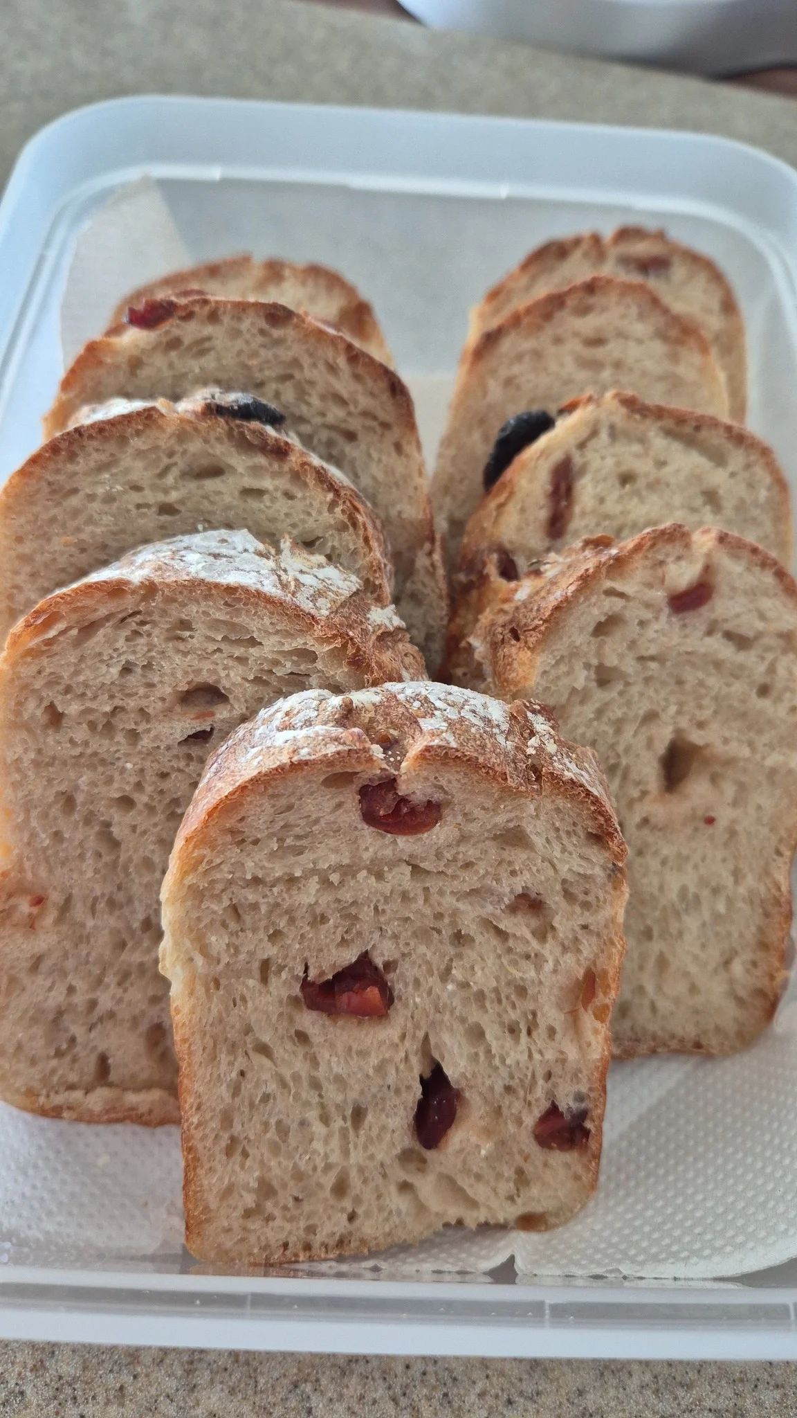 Rustic Cranberry Walnut Sourdough Bread