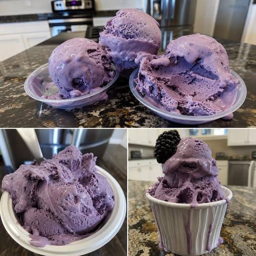 Homemade Blueberry Ice Cream
